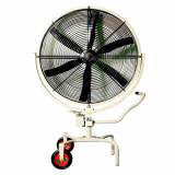 Large-sized Fan